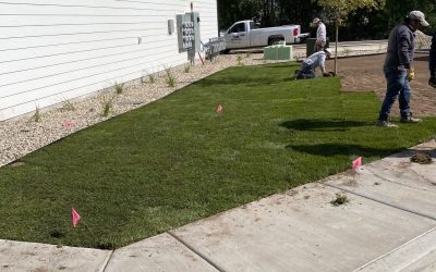 How To Care for Newly Installed Lawn Turf In Logan, Utah